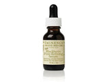Eminence Blackberry Pore Refining Serum